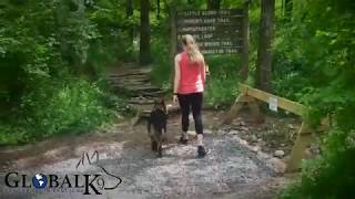 German Shepherd Protecting Owner On A Hike [upl. by Norrehc]