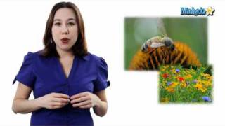 Learn Biology Community Ecology Interspecific Interactions [upl. by Atoiganap11]