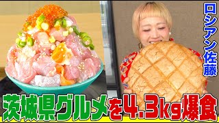 【大食い】ロシアン佐藤が茨城県の「道の駅」で名産品グルメを４kg超え爆食！巨大メロンパンや海鮮丼、納豆定食にラーメンまで食べ尽くす！【大胃王】【MUKBANG】【デカ盛りハンター】【モッパン】 [upl. by Celik]