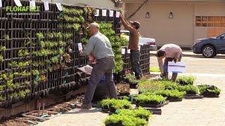 Florafelt Pro System Vertical Garden Installation [upl. by Zug]