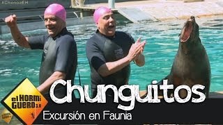 El Hormiguero 30  Los Chunguitos se van de excursión a Faunia [upl. by Lalad]