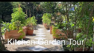 Potager Kitchen Garden Tour June 2022One Month Growth fruits Vegetables and Ornamentals [upl. by Lleze]