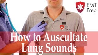 How to Auscultate Lung Sounds  EMTprepcom [upl. by Isla]