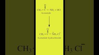 Amphoteric Character of Amides  Acetamide chemistry  Land of Chemistry [upl. by Elik106]