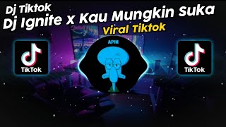 DJ IGNITE x KAU MUNGKIN SUKA VIRAL TIK TOK TERBARU 2024 [upl. by Notak]