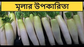 মুলার পুষ্টিগুণ ও উপকারিতা। Health Benefits Of Radish [upl. by Notxam]