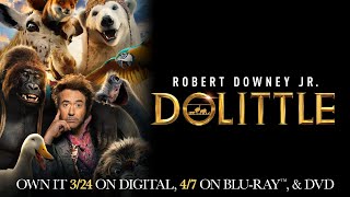 Dolittle  Trailer  Own it on Digital Bluray amp DVD [upl. by Zahara971]