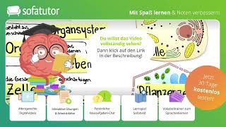 Zelldifferenzierung Biologie – Organisationsebenen von Tier amp Pflanzenzellen [upl. by Benjamin]