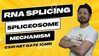 RNA splicing and processing  RNA splicing mechanism  spliceosome [upl. by Ginger]