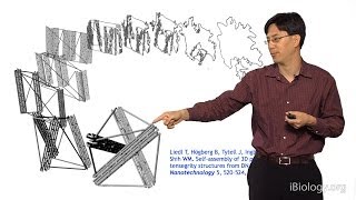 William Shih Harvard Part 1 Nanofabrication via DNA Origami [upl. by Kronfeld]