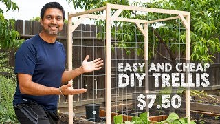 How to Make Easy and Cheap Trellis [upl. by Nwadahs]