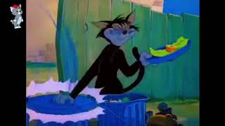 Tom And Jerry Bangla Carton Full Video [upl. by Boy30]