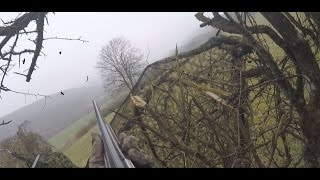 Chasse aux corvidés 20152016 Partie 1 [upl. by Jeanine487]