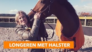 Longeren met halster  PaardenpraatTV [upl. by Lein]