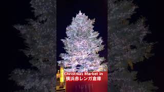 Christmas Market in 横浜赤レンガ倉庫2023 横浜イベント クリスマスマーケット 赤レンガ倉庫 イルミネーション [upl. by Enomor227]