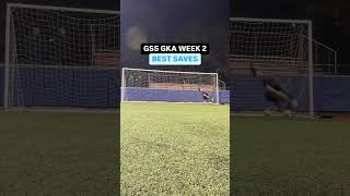 Best saves from Week 2 of Goalkeeper Training goalkeepersaves goalkeeper goalkeepertraining [upl. by Swetiana]