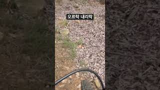 mtb emtb 복귀 전 짧은 업힐과 다운힐 [upl. by Isador]