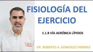 Fisiología del ejercicio  118 Vía aeróbica de los lípidos [upl. by Pilif]