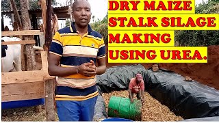 HOW TO USE UREA TO MAKE DRY MAIZE STALK SILAGE [upl. by Anastos]