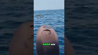 Increíble espectáculo ¡Pesca emocionante de Dorados [upl. by Mingche]