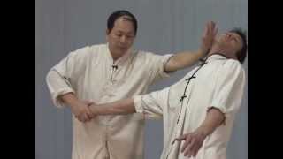 Tai Chi Chin Na YMAA Qin Na Dr Yang JwingMing  Taijiquan joint locks [upl. by Sussi]