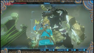 The Definitive Guide to Fighting Lynels in BOTW and TOTK [upl. by Happy]