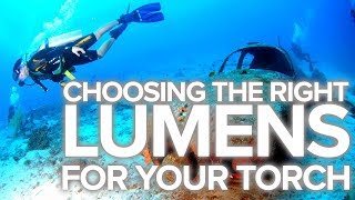 Choosing The Right Lumens For Your Torch [upl. by Baxie]