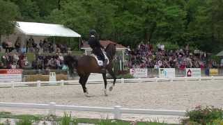 CDI 3 Compiègne  Grand Prix Freestyle  Pierre Subileau [upl. by Ylicis]