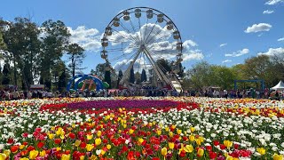 Floriade Canberra 2022  The Wonderful and Magical Garden in Australia [upl. by Nnyledam]