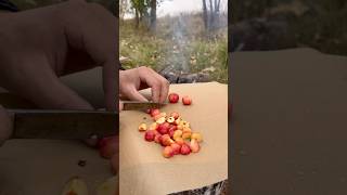 Survival skills How to Make Apple Pie 🥧 on a Campfire🔥 bushcraft food camping [upl. by Ingeberg237]