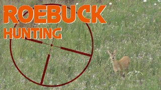 Hunting Roe Buck in France  2014 [upl. by Farny491]