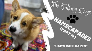 Corgi overcomes Karen in his home restaurant  Hammy and Olivia [upl. by Rainie]