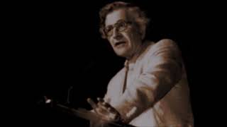 NOAM CHOMKY’S NATIVIST THEORY OF LANGUAGE DEVELOPMENT [upl. by Uos790]