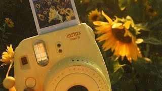 Sunflower Karaoke  Rex Orange County female key [upl. by Enileme846]