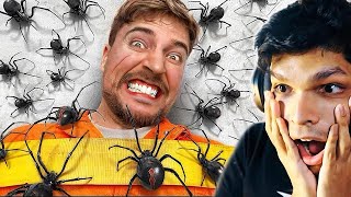 100 SPIDERS vs MAN scary challenge [upl. by Wain]