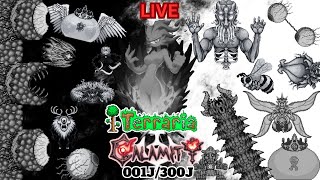 TerrariaCalamity 300J 001J006J 010924 LIVE [upl. by Hitt131]