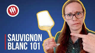 Sauvignon Blanc Everything you need to know  Grapes 101 [upl. by Noelyn]