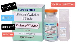 ExtacefXL Ceftriaxone ampSulbactam For Injection की पूरी जानकारी [upl. by Elder917]