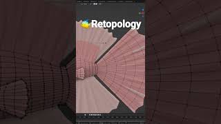 How I do Retopology 🐠 3d animation blender [upl. by Kerianne]