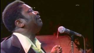 BB King  I Like To Live The Love  Live in Africa 1974 [upl. by Ixela]