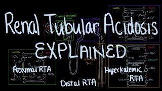 Renal Tubule Acidosis RTA Explained [upl. by Goldi317]