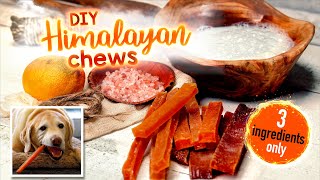 Himalayan Dog Chew Recipe [upl. by Dorren]