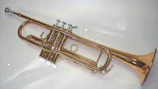 Ave Maria Schubert for Trumpet [upl. by Irak]