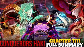 They are Conquerors🤯 One Piece Chapter 1111 Full SummaryHindi [upl. by Lletram59]