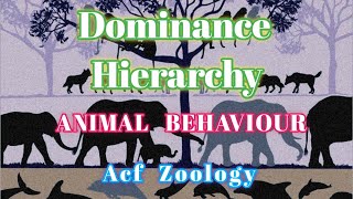 Dominance Hierarchy  Animal Behaviour  BSC Zoology  Rpsc Zoology  UPSC ZOOLOGY  CSIRNET ZOOLOGY [upl. by Rosemary]