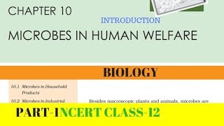 Part1 MICROBES IN HUMAN WELFARE chapter10 NCERT class 12th biology [upl. by Willabella335]