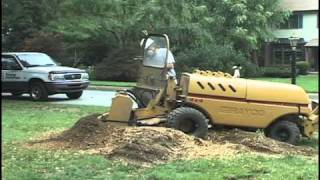 Stump Grinding  Any Stump Any Size Any Place [upl. by Reba]