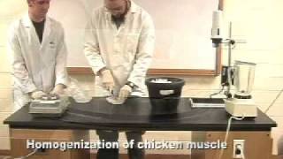 Protein Methods 2010  Lab 3 Protein Extraction [upl. by Edyaj311]