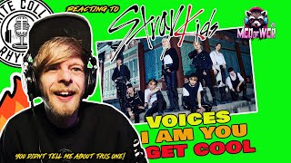 Reacting to Stray Kids Voices I Am You amp Get Cool  You Didnt Tell Me About Voices [upl. by Kumler613]