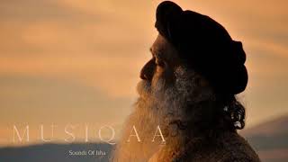 Sounds of Isha ⋄ Alaap ⋄ Collection of songs offered during Sadhgurus darshans [upl. by Hedges668]